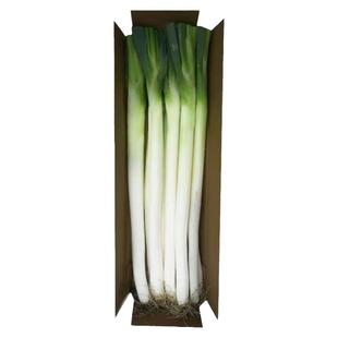 顺丰正宗山东济南章丘大葱王甜葱蘸酱5斤10斤特级脆甜蔬菜礼盒