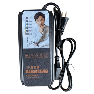 二代赛格威充满关机电动车充电器60V72V20六灯脉冲原装铅酸三孔用