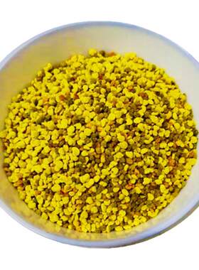 新疆蜂头当季新鲜巩乃斯黑蜂山花花粉500克包邮收到后冷冻储存