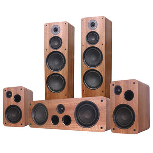 Winner/天逸 天骄K8三分频家庭影院K歌音箱无源双8寸5.0音响套装