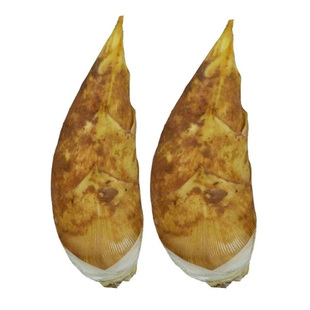 2026冬笋新鲜现挖江西野生竹笋黄泥大冬笋楠竹嫩笋子甜带壳两头尖