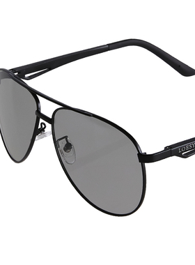 洛伊士变色椭圆时尚男女偏光墨镜