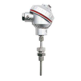 铂热电阻铠装温度传感器PT100wzp-230热电偶K型WRN-130探头变送器