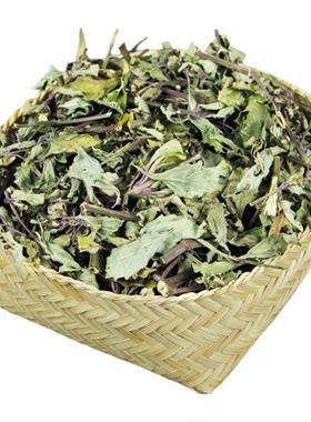 云岭食记西双版纳猫须草云南正品