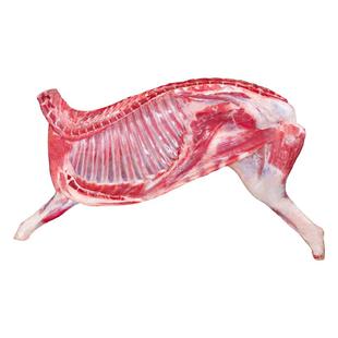 羊肉新鲜半只羊10斤乳羔羊生羊肉羊腿羊排羊蝎子火锅食材礼盒