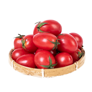 四季小番茄种子苗千禧圣女果西红柿种籽秧果苗矮生黑秧苗蕃茄苗树