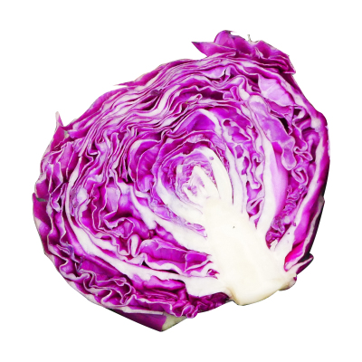 蔬菜苗阳台四季播紫甘蓝