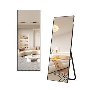 全身镜轻奢女生卧室衣帽间服装店网红试衣镜客厅壁挂落地穿衣镜子