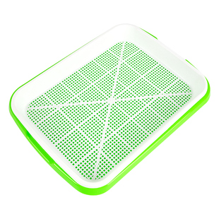 兔草盆抗拔苗防霉菌种植盆水培自种器皿种子猫咪零食化毛去毛