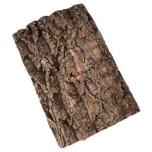 宠物造景树皮软木香槟装饰柱子爬宠躲避水陆缸包遮挡门头墙面守宫