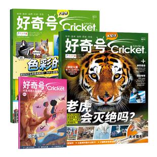 好奇号杂志2023年/2022年/2021年1-12月过刊全年珍藏清仓中文版环球科学少儿科普自然历史书籍6-12岁小学生科普百科环球科学万物阳