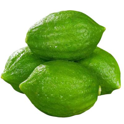 奶茶店同款|香水柠檬特级品质