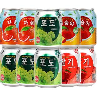 九日果汁饮料大果粒多口味组合238ml*10罐露营畅饮出游伴手囤货