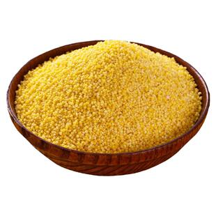 2025】头茬新米山东龙山石碾级新黄小米香食用小米子小米粥粘稠香