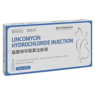 盐酸林可霉素注射兽用液注射剂犬猫咳喘雾化药地塞米松磷酸钠注射