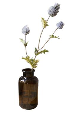 【掬涵】刺棘蓟仿真花干花艺术