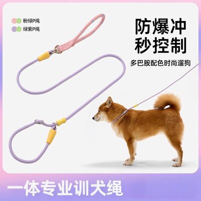 狗狗牵引绳防爆冲P绳P链防挣脱套脖狗链子小型中大型犬遛狗拴狗绳
