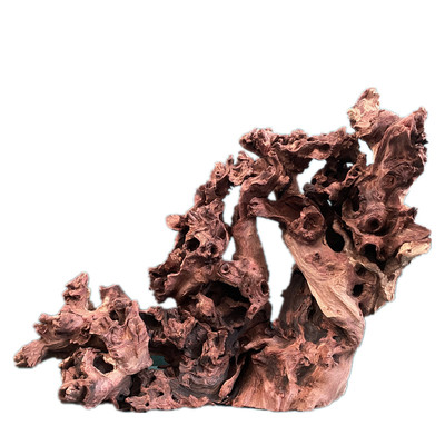 大号鱼草缸爬宠箱原生天然沉木