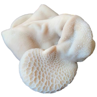 熟羊肚整个羊净肚新鲜冷冻羊杂羊胃火锅串串食材5斤/商用顺丰包邮