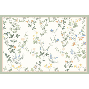 2024新款入户地垫不卡门进门脚垫pvc可擦洗玄关地毯可裁剪地毯