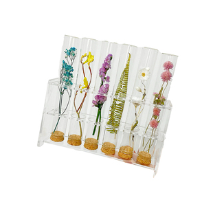 植物标本永生花干花玻璃试管店铺软装饰样板间摆件生日节日礼物