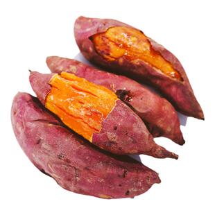 候物 新鲜红薯现挖人参红薯红心番薯沙地板栗蜜薯甜糯无渣5斤