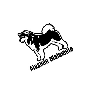 阿拉斯加雪橇犬  Alaskan Malamute 汽车贴纸 宠物车贴 防水贴