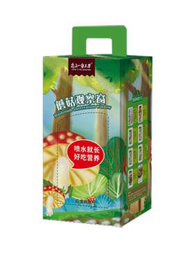 蘑菇种植观察盒盆栽diy