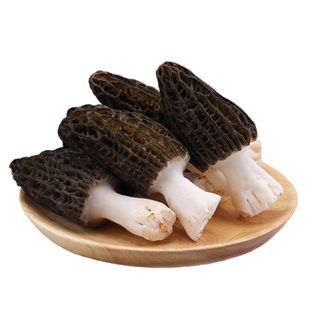 【现货】精选鲜羊肚菌新鲜云南特产蘑菇生鲜仿野生菌菇鲜货500g