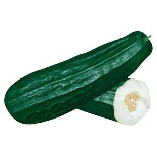 黑皮棱子酥酥脆菜瓜脆瓜种子 春夏秋播蔬菜籽 酥脆爽口早熟易种孑