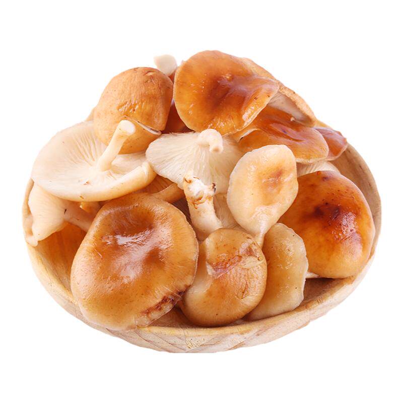 当季时令野生蘑菇香覃蘑菇包邮