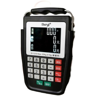 带语音自动计价手提电子秤充电弹簧秤小型手拿便携式高精度迷你秤