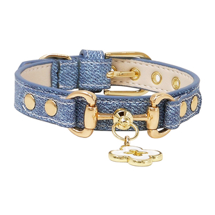 阿奇尔 牛仔纹荔枝纹真皮宠物项圈小型犬猫咪狗颈圈