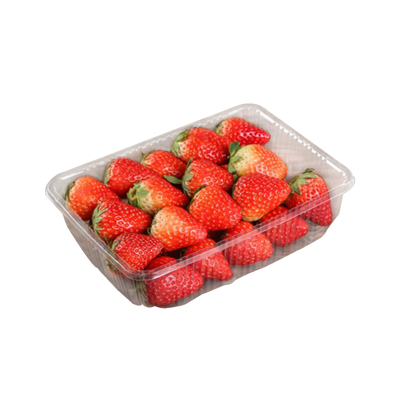 2116一次性水果托盤高端蔬菜打包透明包裝塑料食品盒烤鴨盒廠家