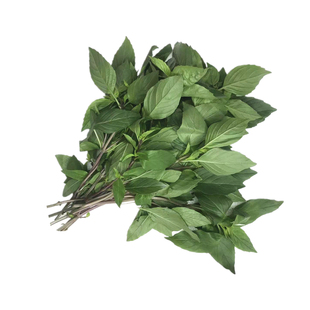 冬阴功汤料Tomyumgoong新鲜罗勒叶九层塔basil西餐香料金不换红