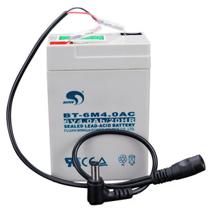 赛特BT-6M4.0AC(6V4.0Ah/20HR)百鹰四方电子吊钩秤通用铅酸蓄电池