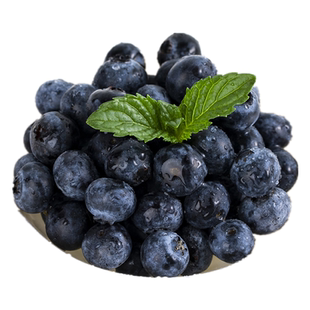 蓝莓苗树苗南方北方种植果家庭盆栽地栽结果大苗阳台当年结果