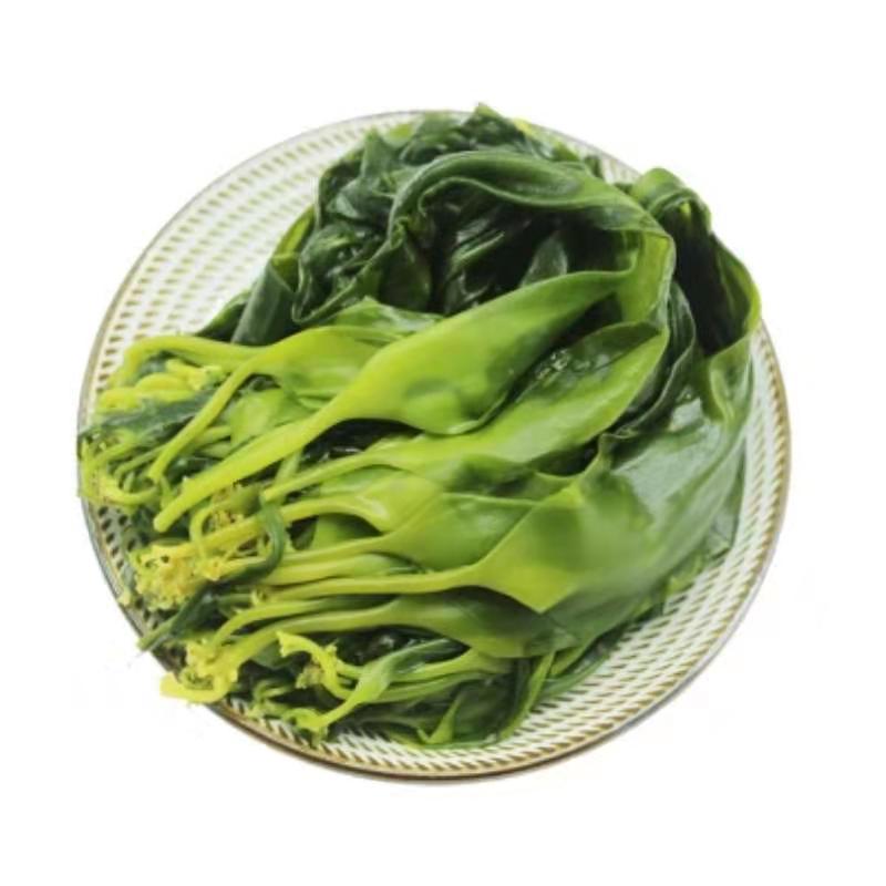 海带苗水产品新鲜蔬菜盐渍保鲜