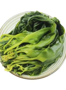 海带苗水产品新鲜蔬菜盐渍保鲜