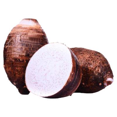 广西荔浦芋头新鲜真空冷冻半成品