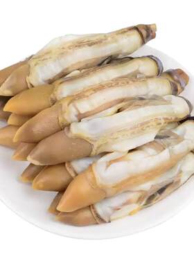 丹东野生大蛏子蛏王肉野生带黄