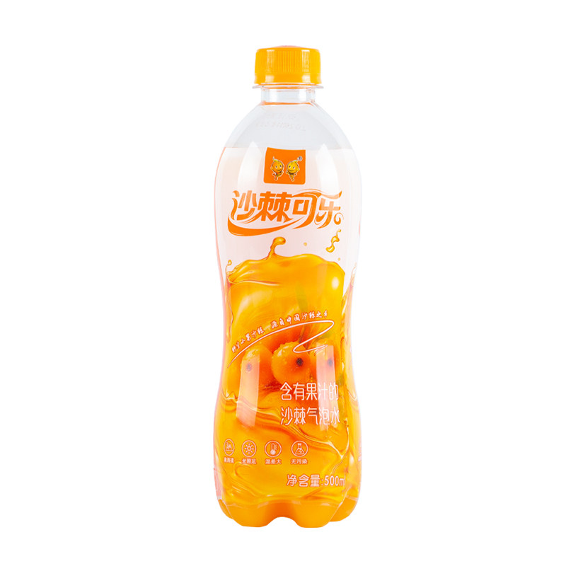 沙棘可乐果汁气泡水500ml整箱