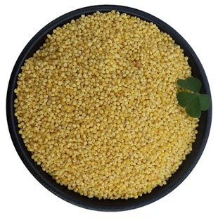 大黄米2025新米粘米粽子米粘豆包米五谷杂粮黍米软黄米糯黄年糕米