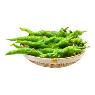 螺丝椒种子皱皮薄皮椒种籽美人线椒小米椒朝天椒四季辣椒种子大全