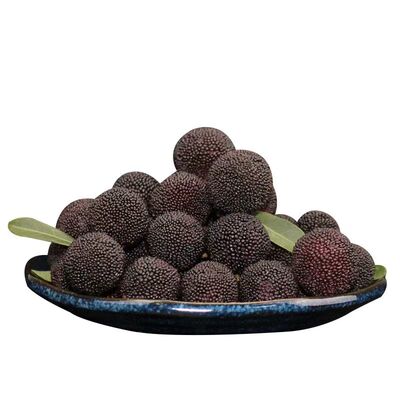 官方授权慈溪杨梅孕妇可食现摘