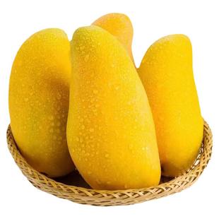 正宗海南特产树上熟金煌芒水仙芒孕妇新鲜水果顺丰精品象牙大芒果