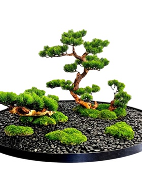 餐桌转盘桌花永生苔藓微缩景观装饰品桌芯饭桌中间创意大圆桌摆件