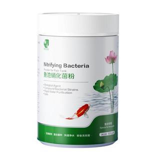 硝化细菌粉鱼缸用水质净化稳定剂养鱼活性消化细菌锦鲤鱼池净水剂