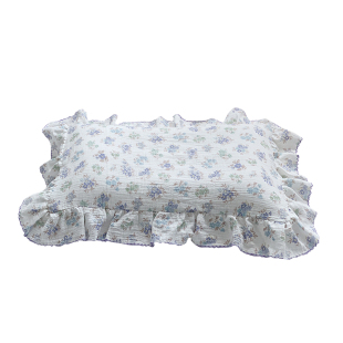 a类全棉纱布卡通儿童枕套纯棉30x50花边35x55宝宝乳胶枕芯套40x60