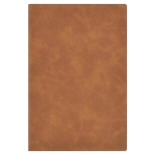 A5笔记本子商务软皮记事本肤感羊巴皮商务办公学习日记本定制LOGO